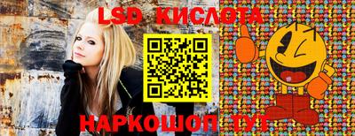 гидра Малоярославец
