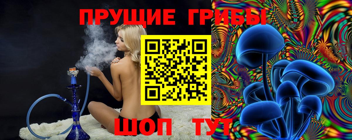 Псилоцибиновые грибы прущие грибы Калуга