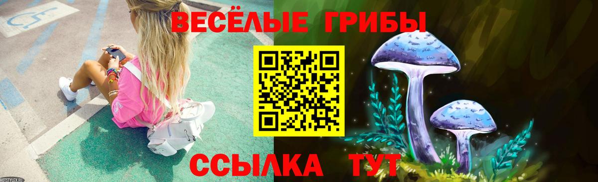 Калуга  Галлюциногенные грибы Cubensis  Вход с VPN 